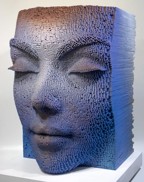 Meditative Portraits Made From Wooden Sticks by Gil Bruvel